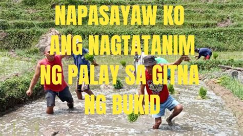 iyutan sa bukid|Ang pagnanasa ng aking Ama . . . . .